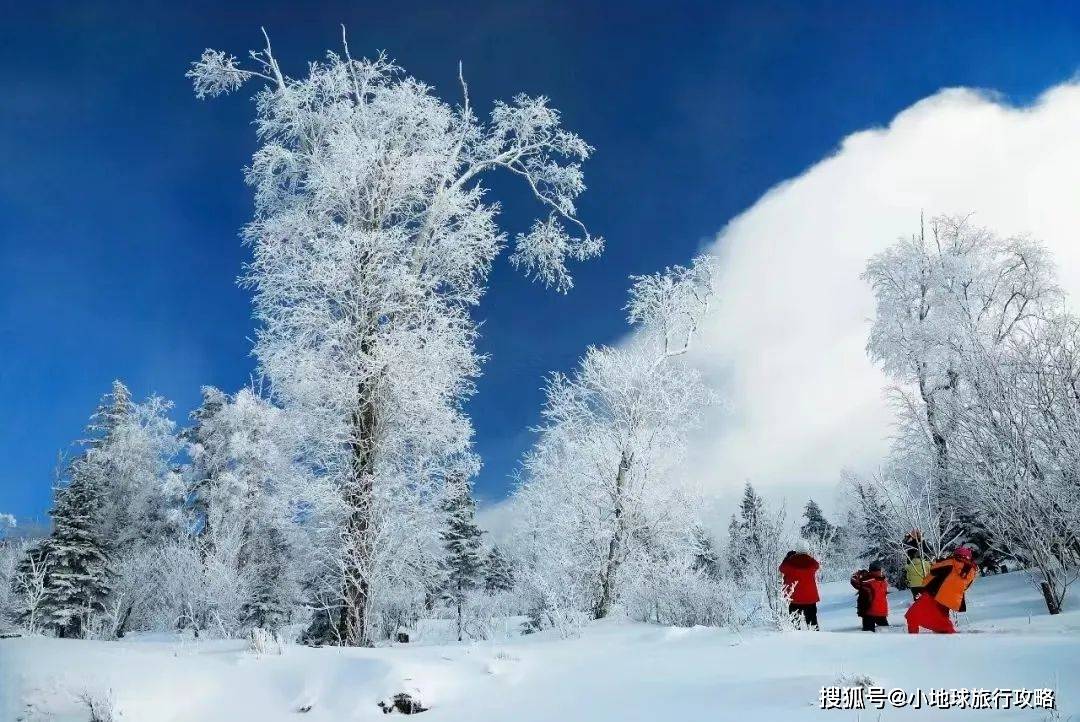 教育旅行｜10年1剑东北不仅有极光滑雪此文打开认知天花板｜深度研学(图4)