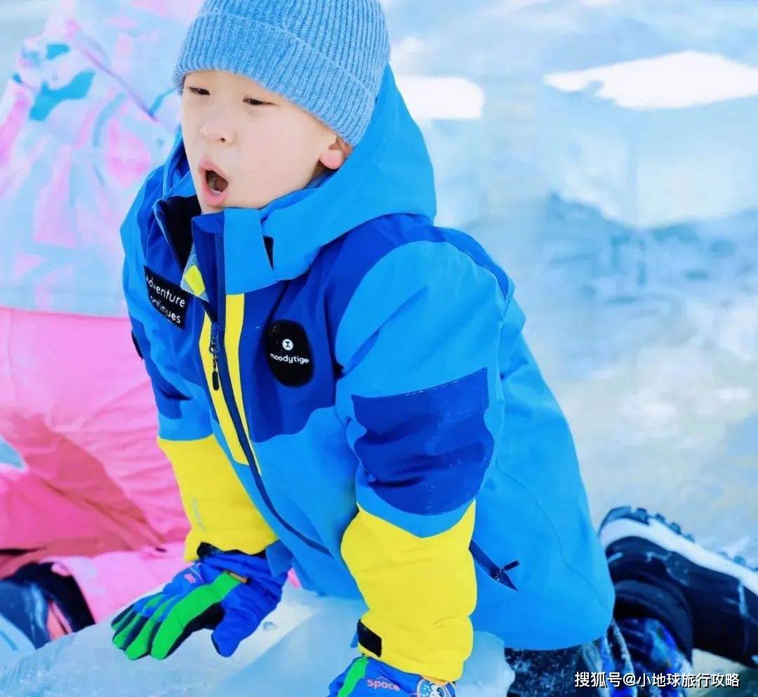教育旅行｜10年1剑东北不仅有极光滑雪此文打开认知天花板｜深度研学(图2)