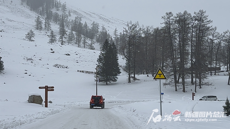喀纳斯交警提示：这些路段易发生推山雪通过时严禁停留(图3)
