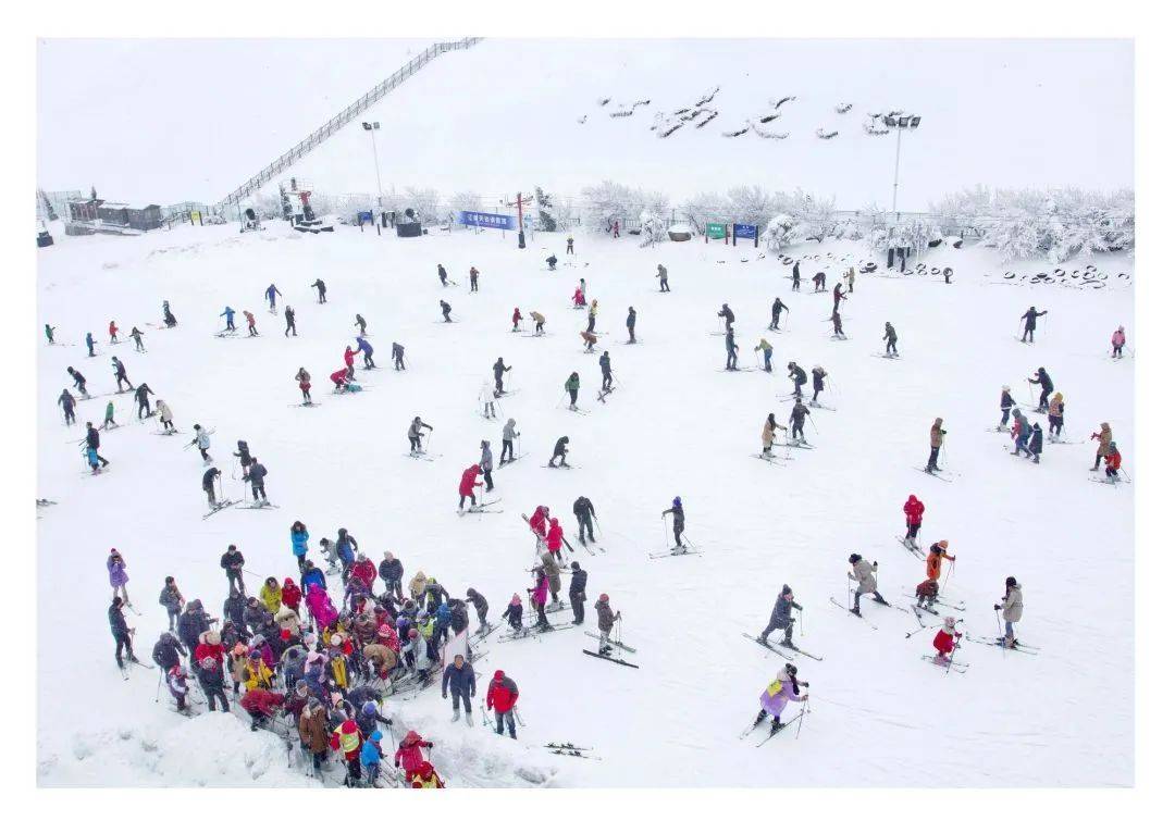 2024年第一场雪！丽水这几个地方都能看到完美体育网站(图4)