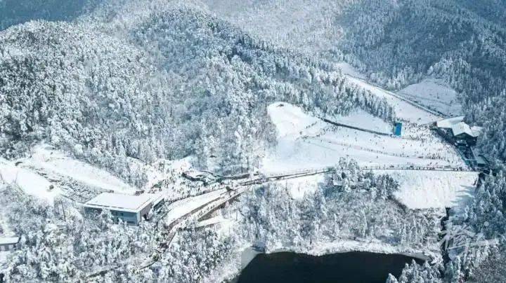 2024年第一场雪！丽水这几个地方都能看到完美体育网站(图5)