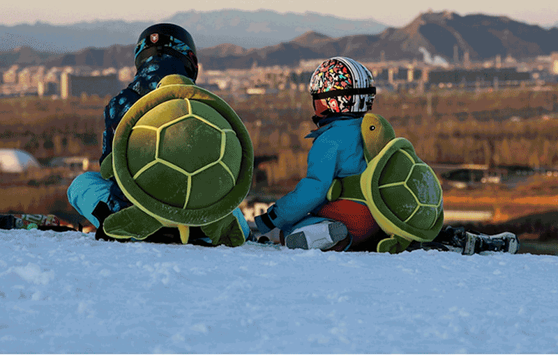 初学者滑雪全套攻略(图2)