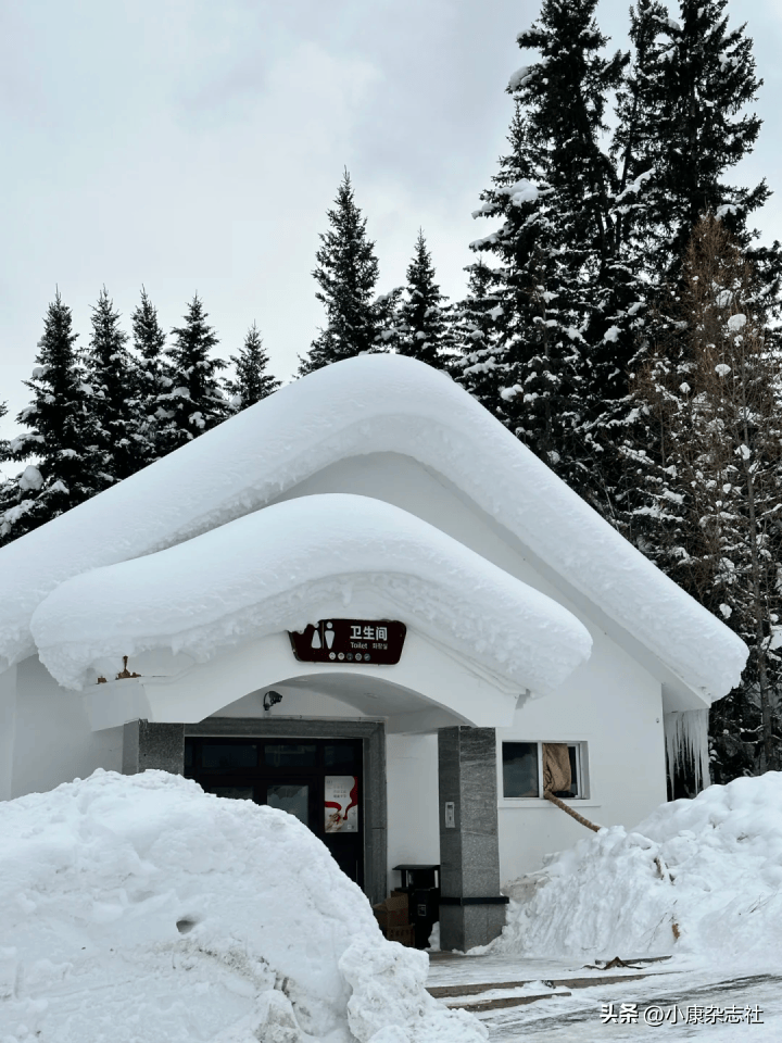 听说去阿勒泰旅游的人膀胱快炸了？事实上……(图4)