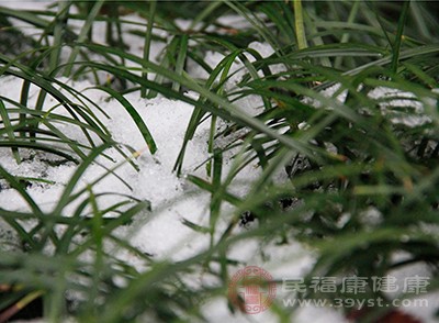 滑雪的注意事项注意这7点在滑雪时会更加安全(图2)