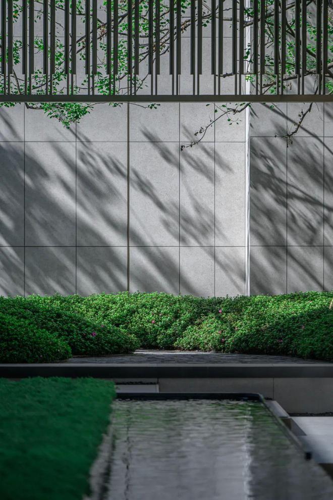 别人卷示范区展示长江天地在卷什么？(图3)