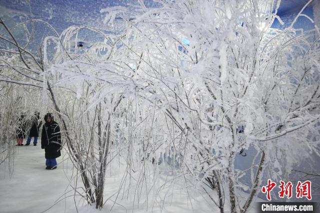 吉林“冬趣”引客消夏滑雪场内戏雪赏雾凇(图2)