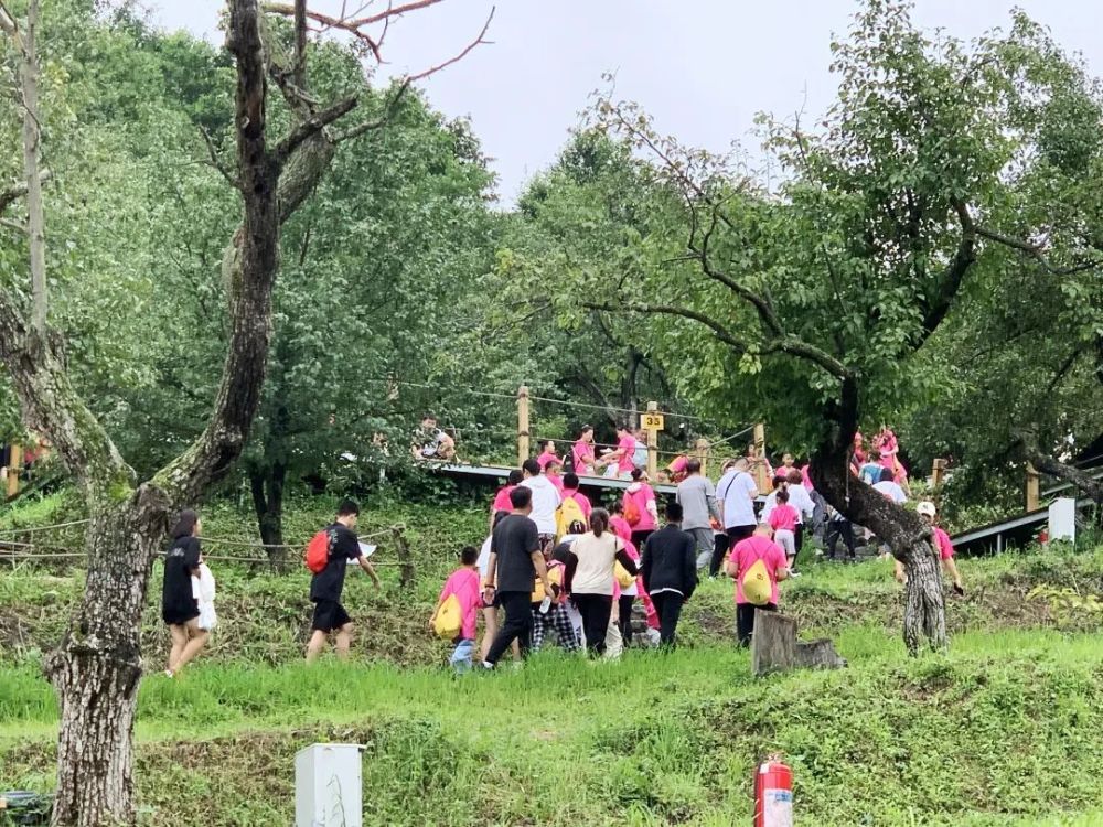 “新活儿”不断！长春的夏天还能更嗨！(图5)