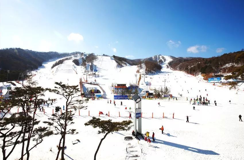 成都er请注意！这个冬天去韩国和日本滑雪你一定要了解这几点(图2)