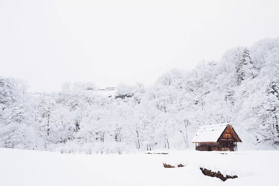成都er请注意！这个冬天去韩国和日本滑雪你一定要了解这几点(图1)