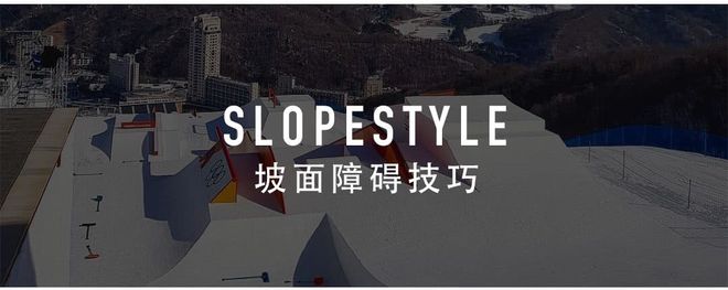 玩了这么久单板滑雪你了解全部项目么？下篇完美体育(图1)