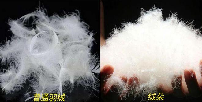 一条裤子过冬！？浪莎90白鸭羽绒裤防风抗寒超抗打保暖又有型！完美体育(图20)