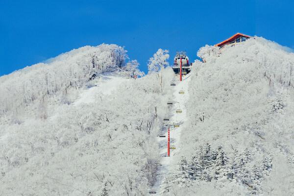 长白山万达国际度假区24-25新雪季焕新来袭(图2)