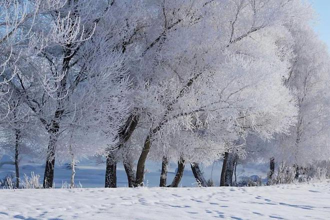 赏雪景、享雪趣布尔津多措并举推进冰雪旅游完美体育网站高质量发展(图5)