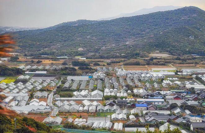 完美体育网站摸着日本过河日本乡村振兴计划那些回农村的大学生后来怎样了(图2)