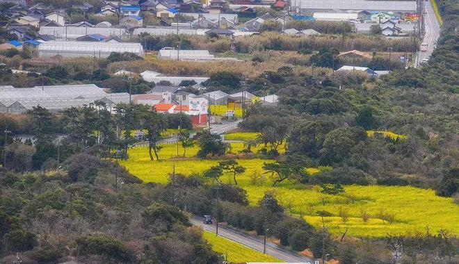 完美体育网站摸着日本过河日本乡村振兴计划那些回农村的大学生后来怎样了(图5)
