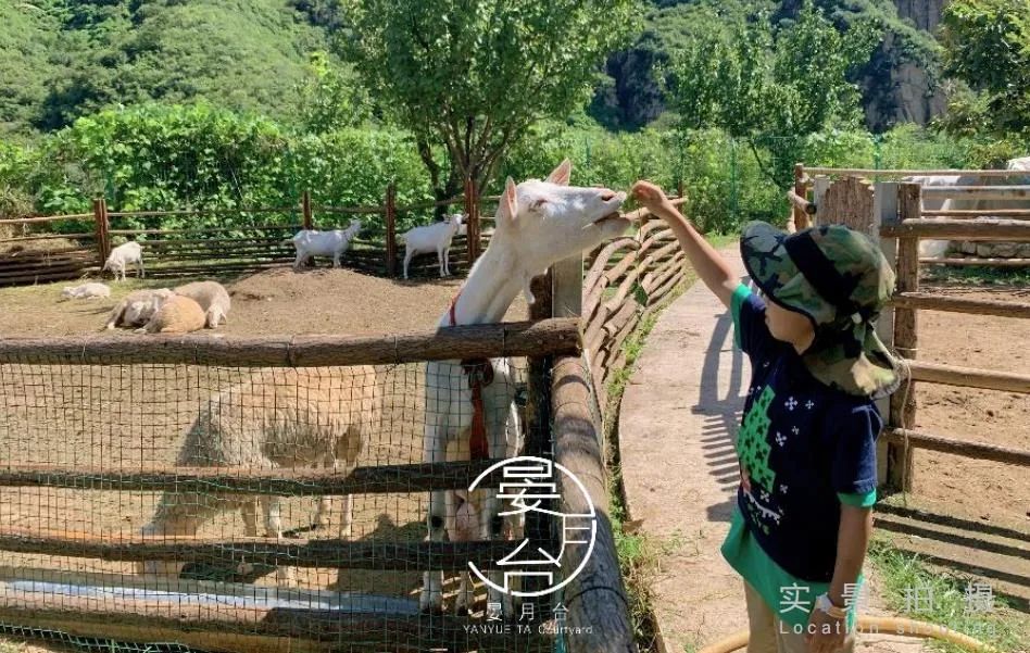 从完美体育网站设计到运营——环北京亲子微度假(图14)