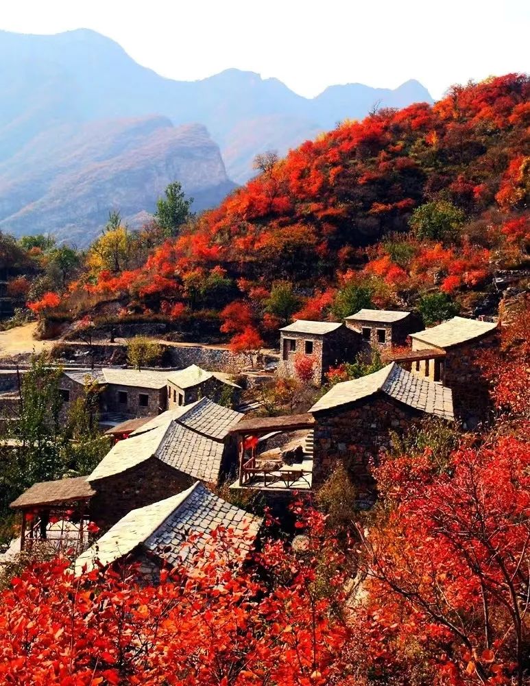 从完美体育网站设计到运营——环北京亲子微度假(图20)