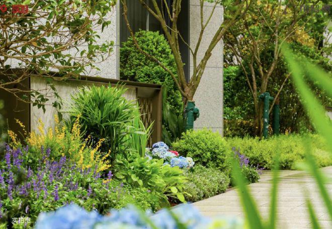 完美体育网站国贸鹭原(网站)-国贸鹭原2024最新详情-房天下(图4)