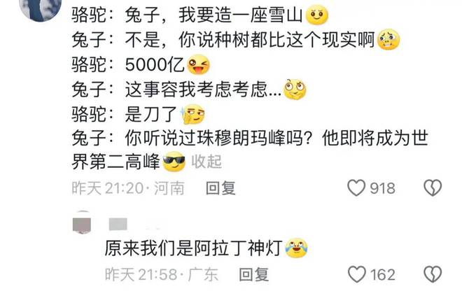 笑麻了！沙特出资5000亿美金请中国在沙漠建雪山评论区亮了(图12)