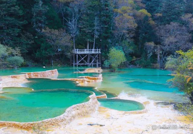四川私人定制路线天当地报团攻略花费完美体育网站介绍(图3)