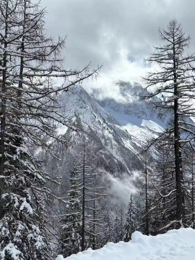 完美体育这个冬天去看雪(图5)