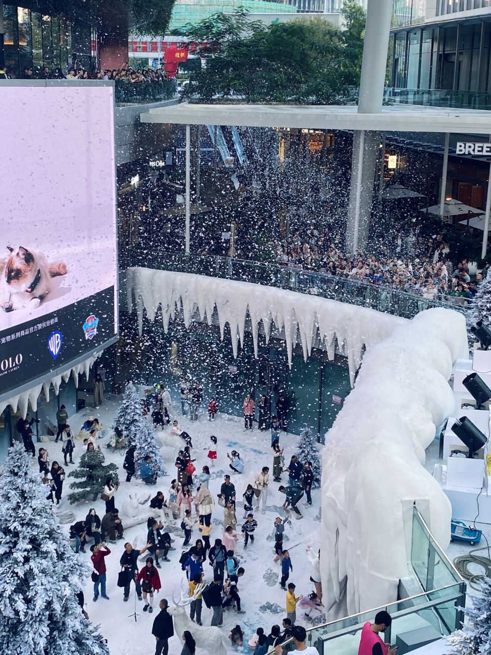 深圳这个冬天飘起了“雪” 北纬22度的冰雪经济如何不同于“尔滨”丨深圳新业态观察①(图1)