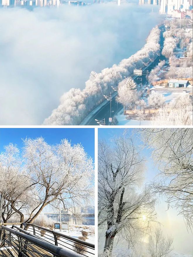 跟团去东北雪乡需要多少钱东北雪乡金牌蜜月游路线分享(图1)