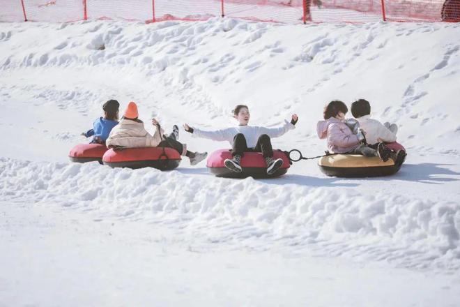 冬游青岛“花式”玩雪攻略完美体育请签收！(图1)