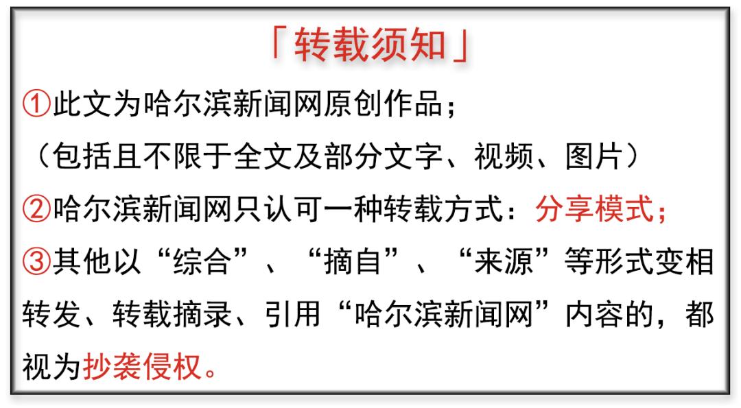 哈尔滨冰雪大世界预计将于12月中旬开园(图2)