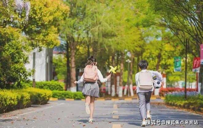 ：恒兴御景园几梯几户梯户比：2梯5户总高27层31层(图13)