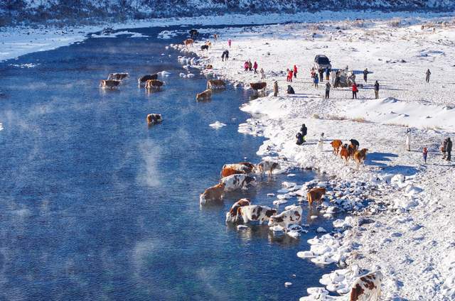 完美体育岭上兴安热“雪”沸腾(图5)