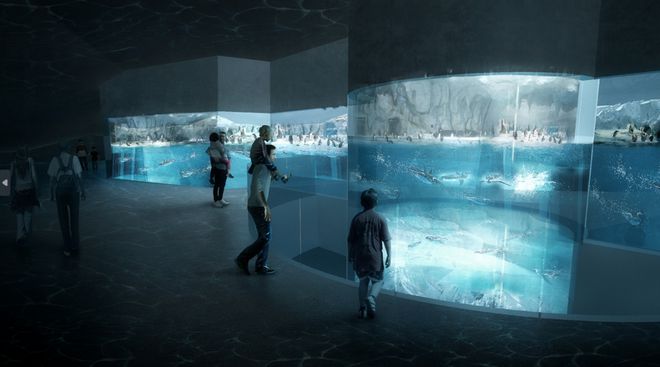 深圳2大文旅新地标再传好消息！深圳最大的海洋主题公园开票了；全球最大室内滑雪场明年10月开业(图1)