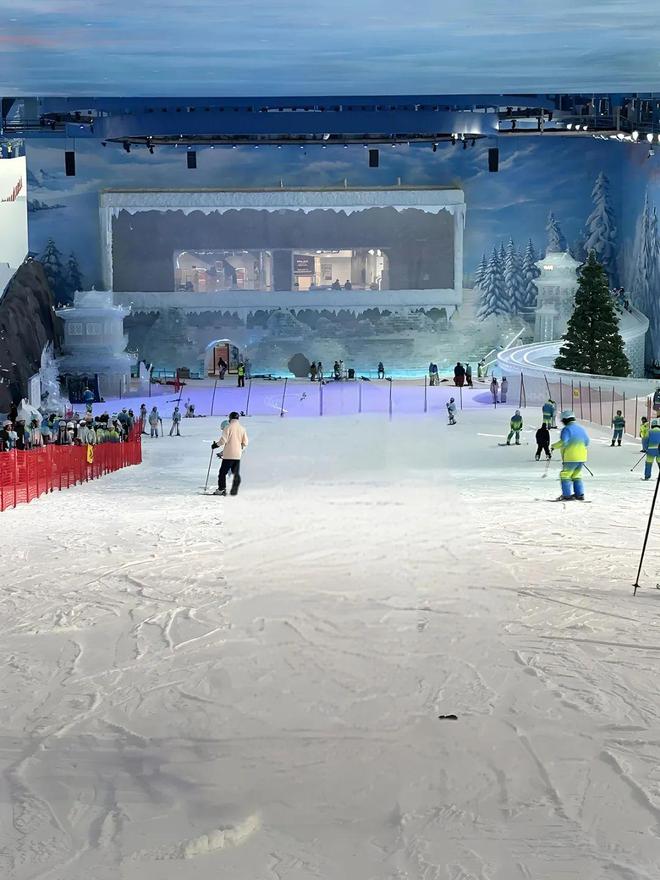 案例赏析武汉冰雪中心：216㎡超大亚克力看台透视冰雪激情(图4)