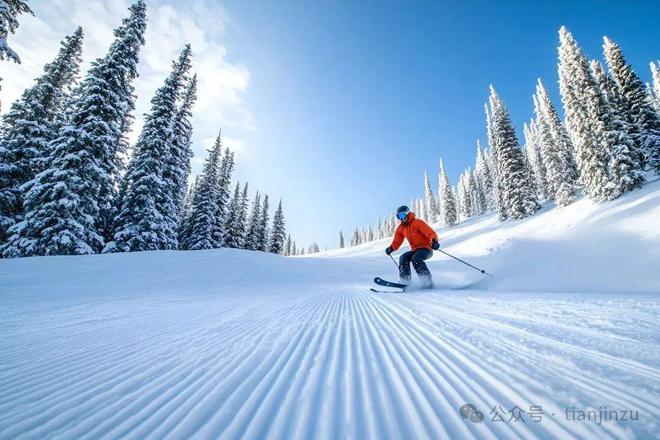 最低20元！冰雪活动、烟花秀…天津多景区活动来啦！(图8)