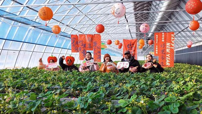 留学生访问绥芬河进行文化交流与体验之旅(图1)