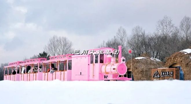 观光小火车可以在雪地上行驶吗？(图3)