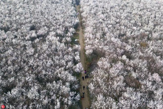 这个冰雪季出游完美体育网站人次有望达52亿(图1)