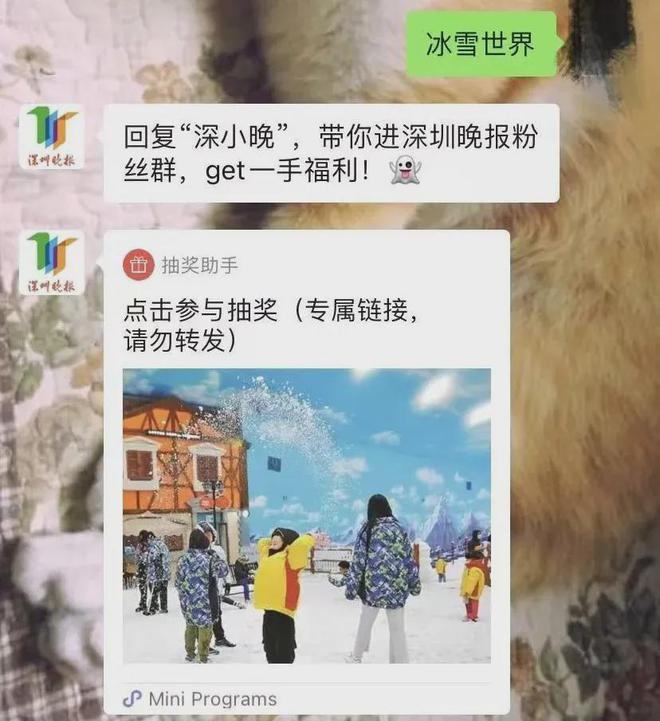 完美体育网站深圳一网红商场出现风洞！躺着就能飞(图5)