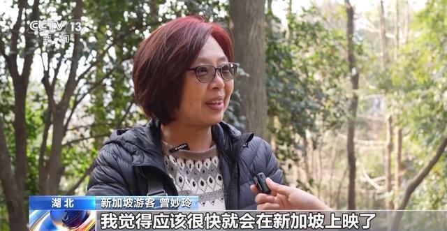 吒儿带火ChinaTravel众多海外游客打卡中国(图2)