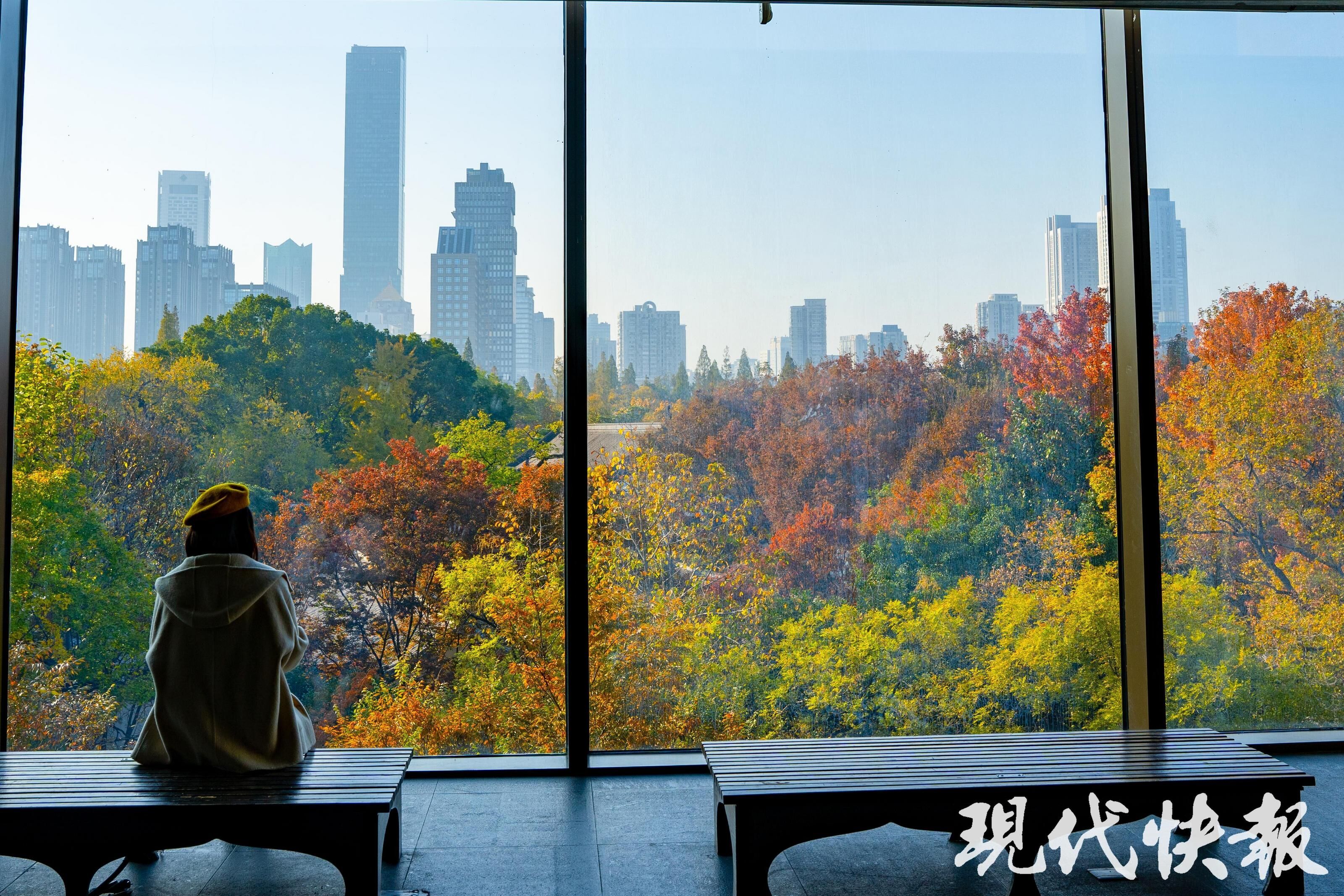 南京厚建软件LivCMS内容管理系统http：wwwhogesoftcom授权用户：http：wwwxichunet(图2)