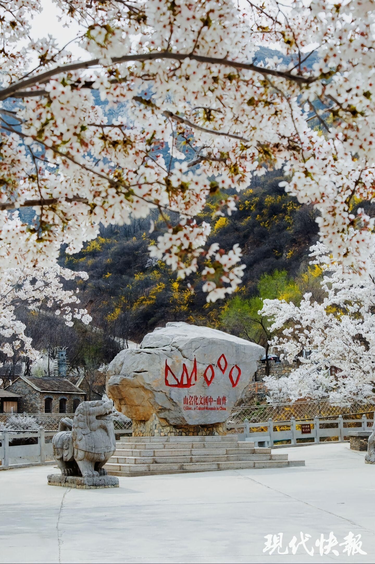南京厚建软件LivCMS内容管理系统http：wwwhogesoftcom授权用户：http：wwwxichunet(图6)