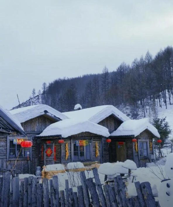 “棉花雪村”翻车：真诚永远是必杀技！(图2)