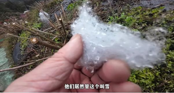 “棉花雪村”翻车：真诚永远是必杀技！(图4)