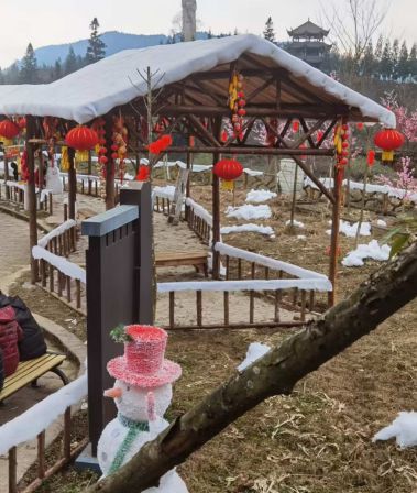 “棉花雪村”翻车：真诚永远是必杀技！(图7)