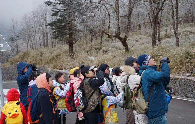 这个冬天相约雅安丨一起玩冰雪、泡温泉、体验亲子研学(图1)
