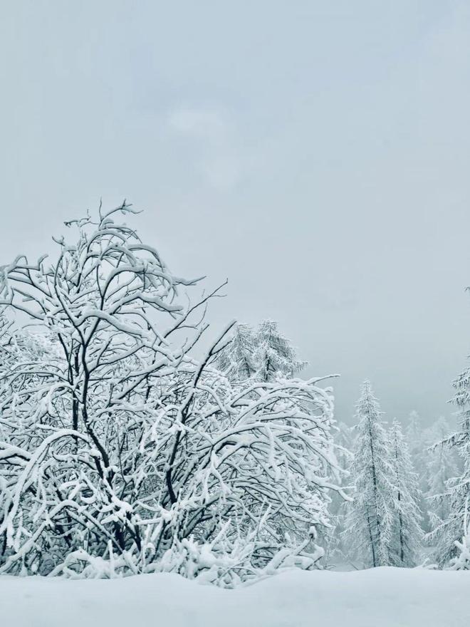 这个超厉害的滑雪小镇国人居然去的这么少(图1)