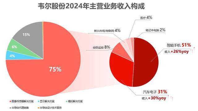 BOE京东完美体育网站方、兆驰股份、韦尔股份、联建光电、瑞芯微等13企发布2024年财报(图6)