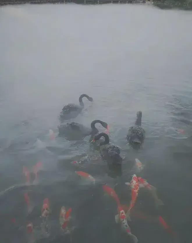 @北京御汤山熙园售楼处发布:昌平御汤山熙园售楼处恭候莅临!(图4)