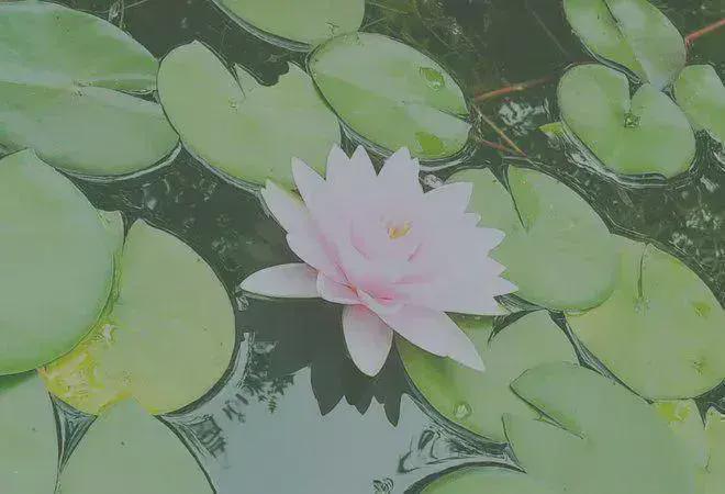 @北京御汤山熙园售楼处发布:昌平御汤山熙园售楼处恭候莅临!(图7)