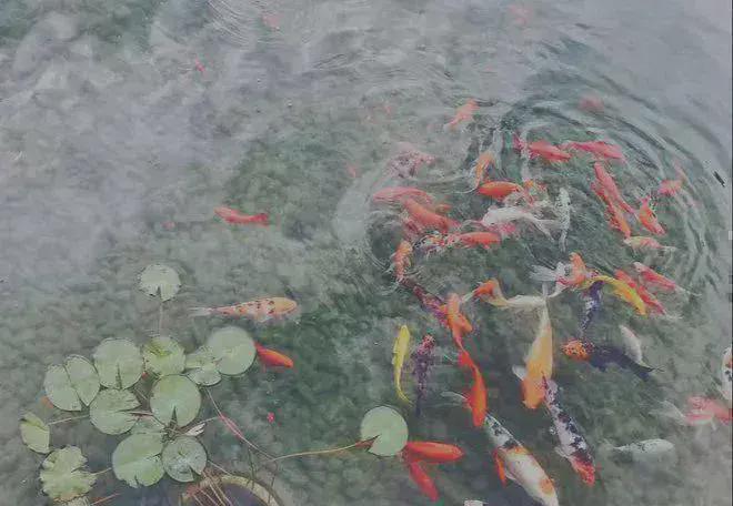 @北京御汤山熙园售楼处发布:昌平御汤山熙园售楼处恭候莅临!(图11)